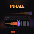 RT Inhale – Reverse Reverb Vocal Rise Plug-in