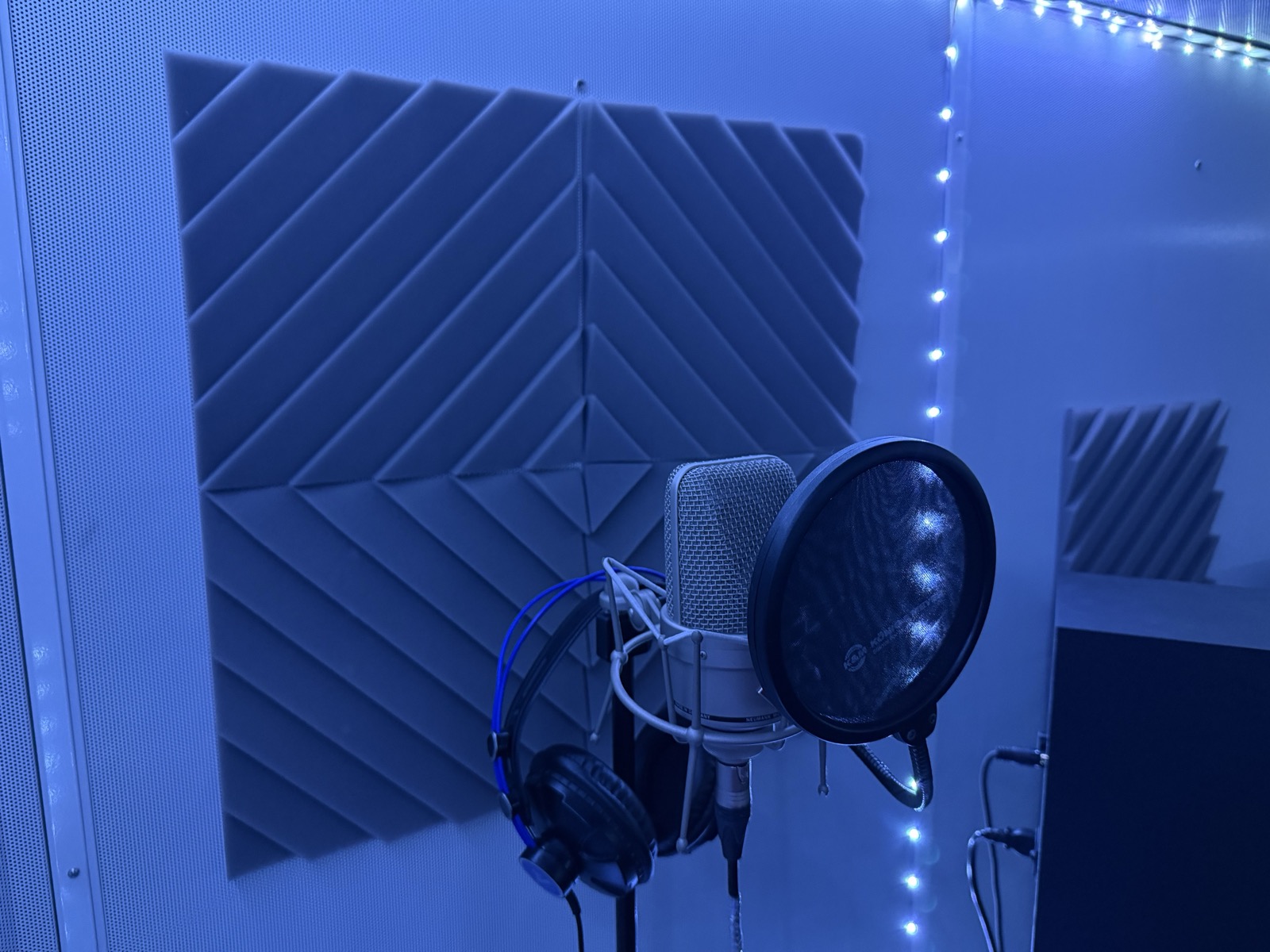 RT RECORDS vocal microphone and pop filter close-up